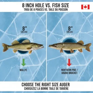 Illustration showing an 8 inch ice hole compared to common Canadian fish like Walleye and Northern Pike.