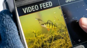 Underwater camera footage showing live video of fish reacting to a lure.