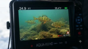 High-resolution screen showing fish on a DVR ice fishing camera system