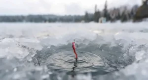 Micro-jig used for finesse fishing when perch are inactive.
