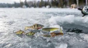 Soft plastic jig tail mimicking natural forage for perch.