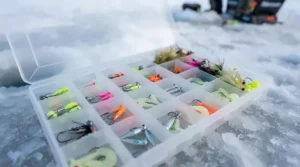Organized tackle tray containing an assortment of crappie ice fishing jigs in various sizes.